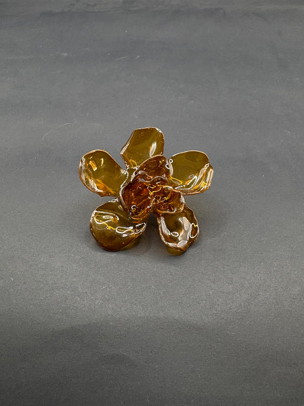 Anillo Magnolia Marrón Transparente