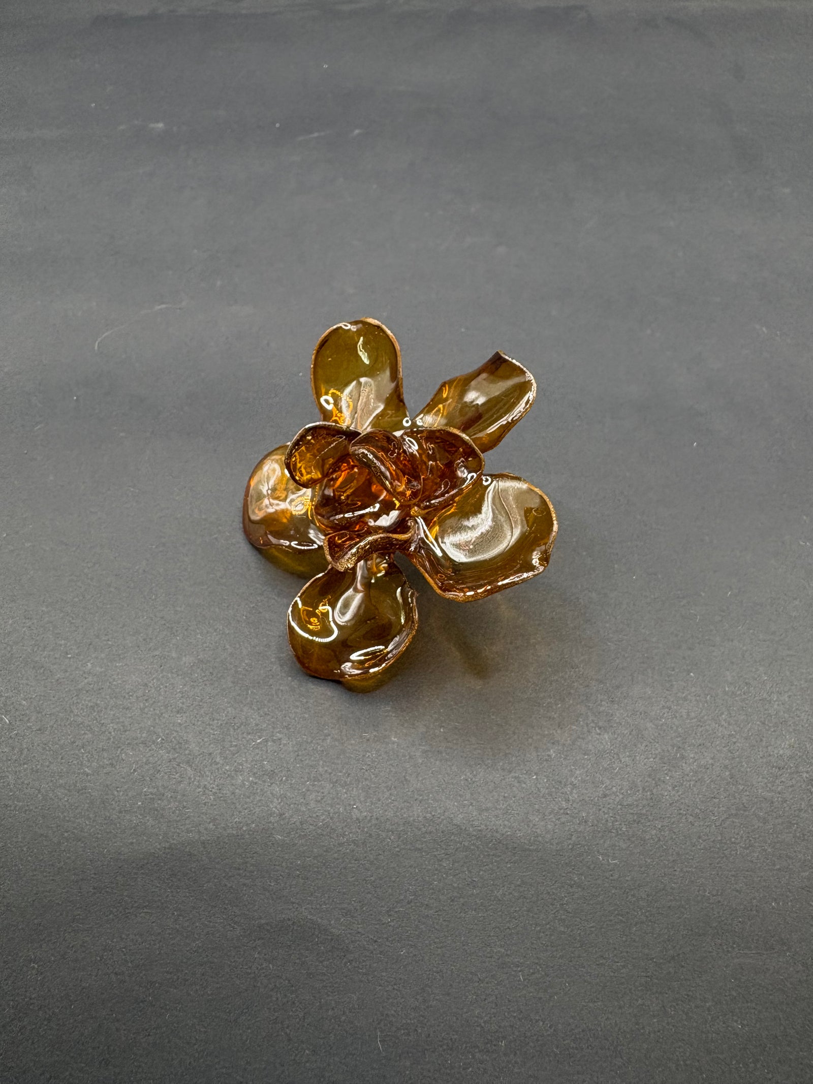 Anillo Magnolia Marrón Transparente